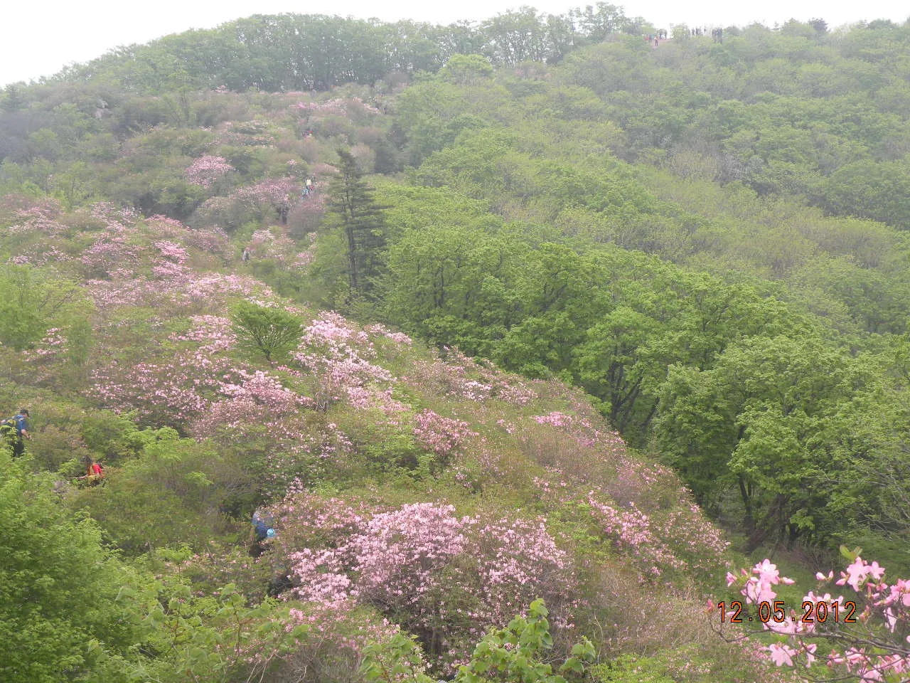 벧엘 등산동아리(5월)