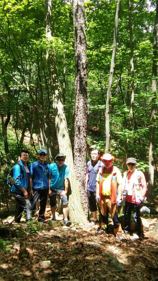 6월 등산동아리