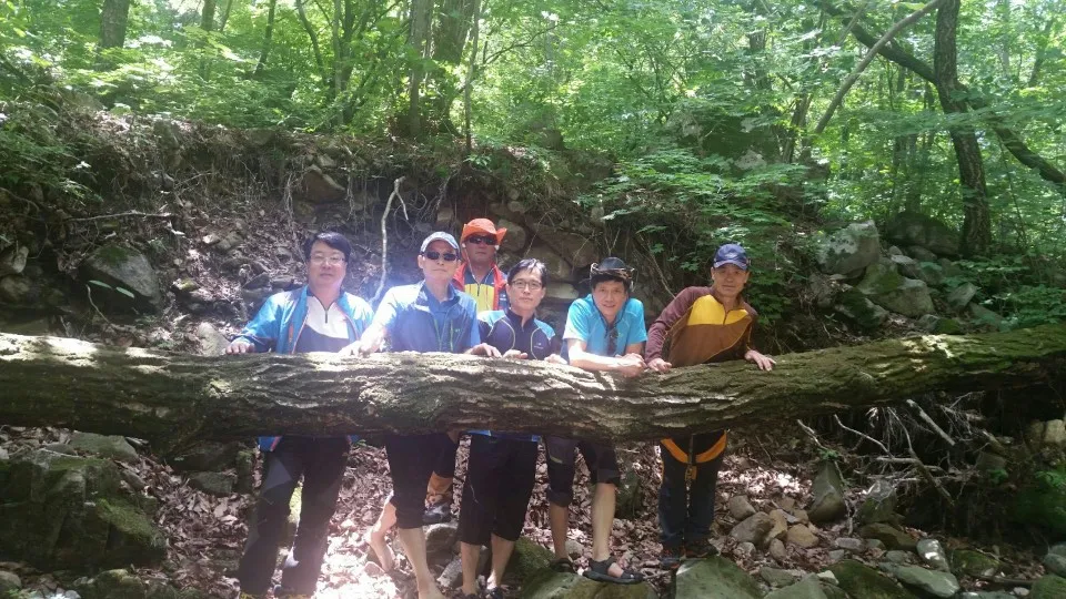6월 등산동아리
