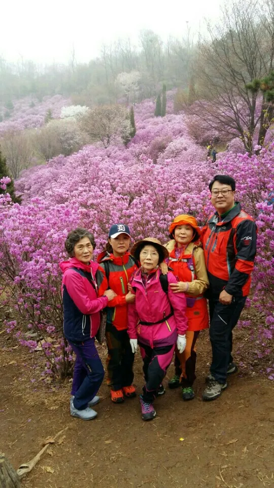 4월 등산동아리